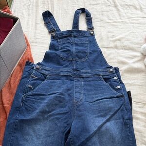 J. Crew Classic Blue Denim Overalls
